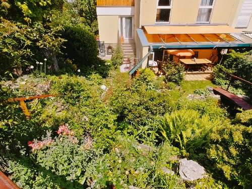 Garden 02
