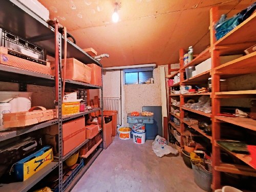 Cellar-1