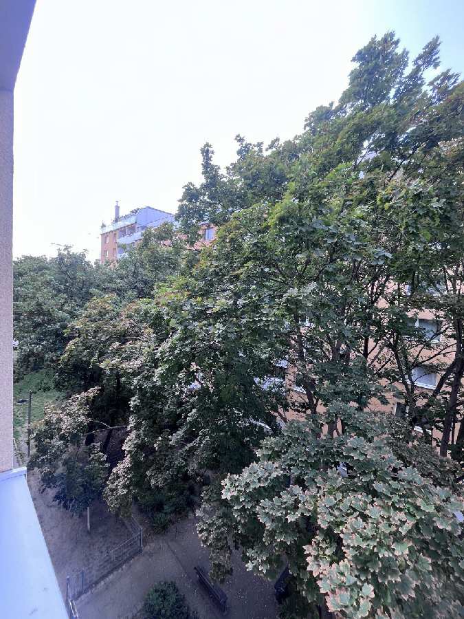Blick
