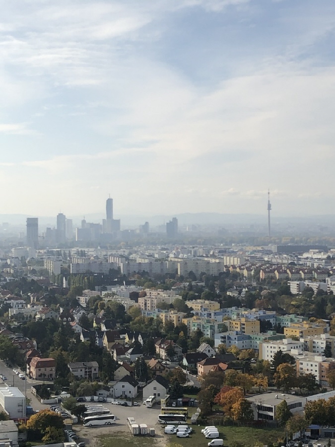 Ausblick