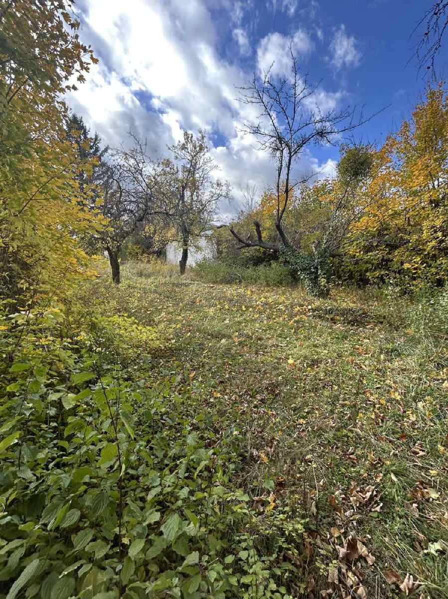 "Perchtoldsdorf - Unbebautes Grundst&uuml;ck mit 500 m&sup2; in der Rudolf Janko Stra&szlig;e / Friedhofstra&szlig;e"