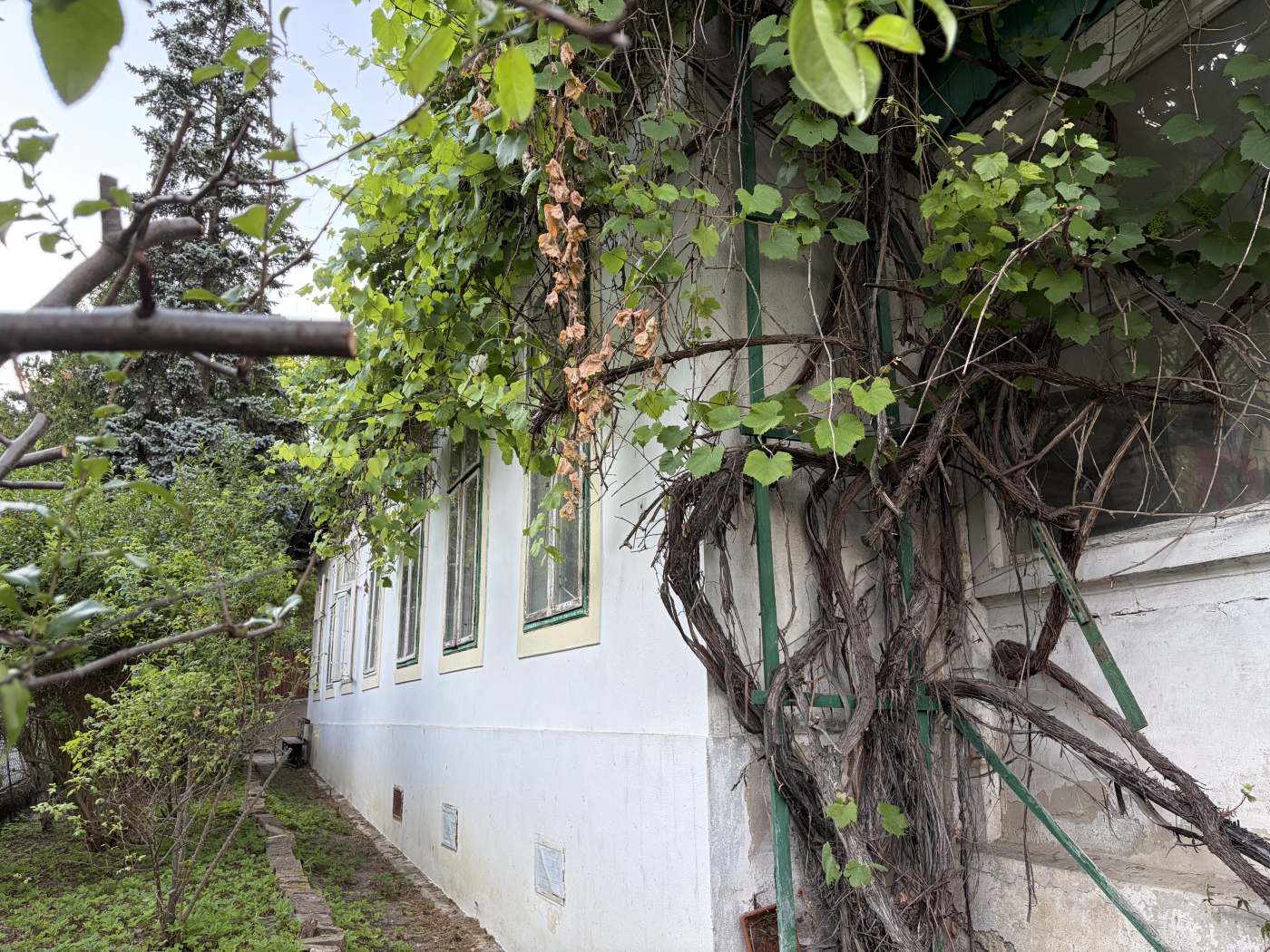 Kalksburg "Ein verborgenes Juwel" Gr&uuml;nderzeitvilla mit Entwicklungspotenzial und eigenem Wald